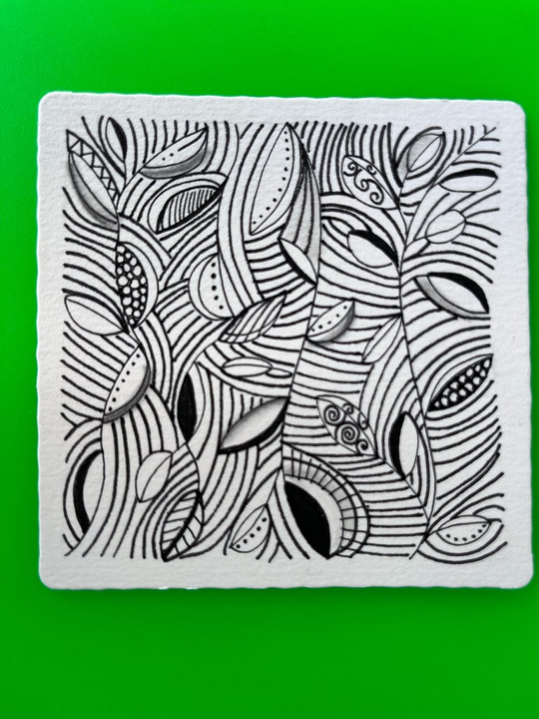 Emily's personal zentangle design in her flowers and nature series