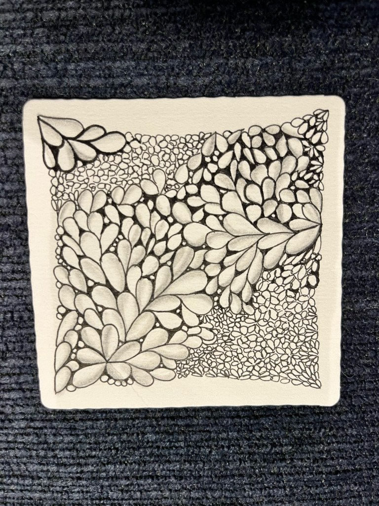 Emily's personal zentangle design in her flowers and nature series