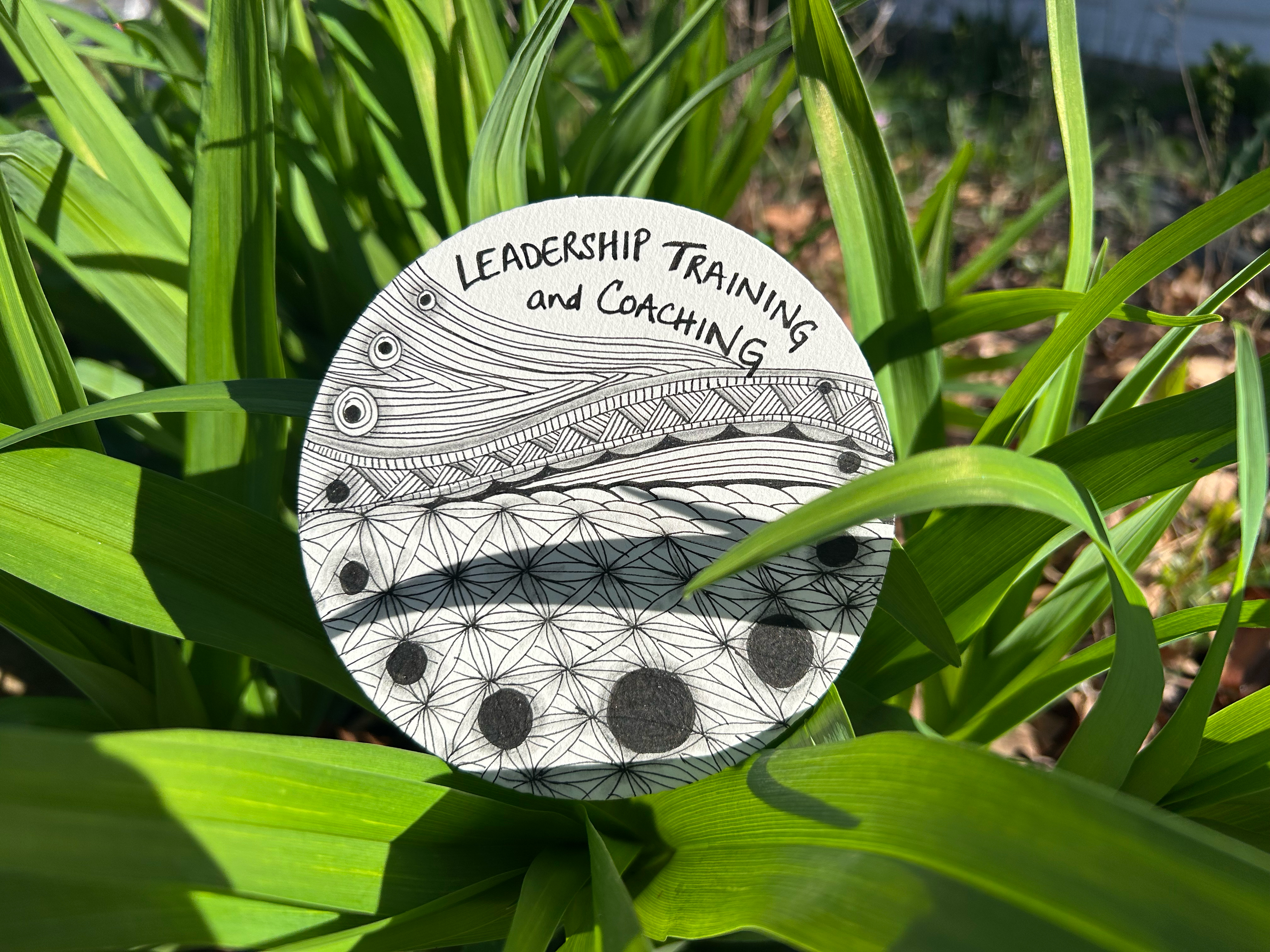 zentangle placed in a bed of green grassy lilly leaves