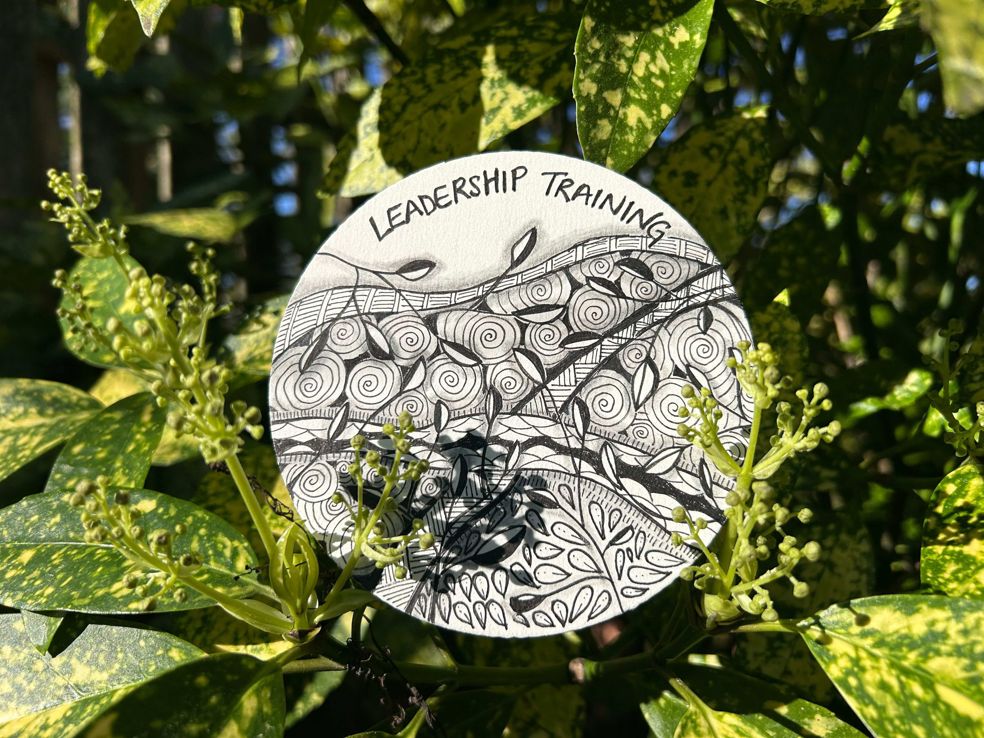 zentangle design placed in a bed of yellow and green variegated leaves